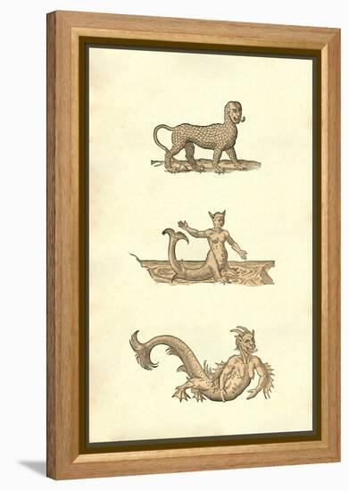 Ancient Monsters-Ulisse Aldrovandi-Framed Stretched Canvas