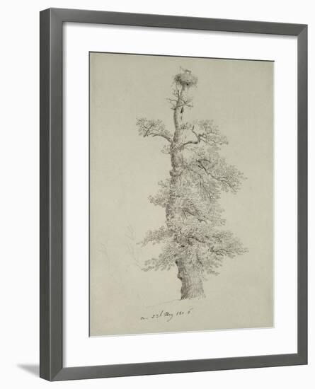 Ancient Oak Tree with a Stork's Nest, 23rd May 1806-Caspar David Friedrich-Framed Giclee Print
