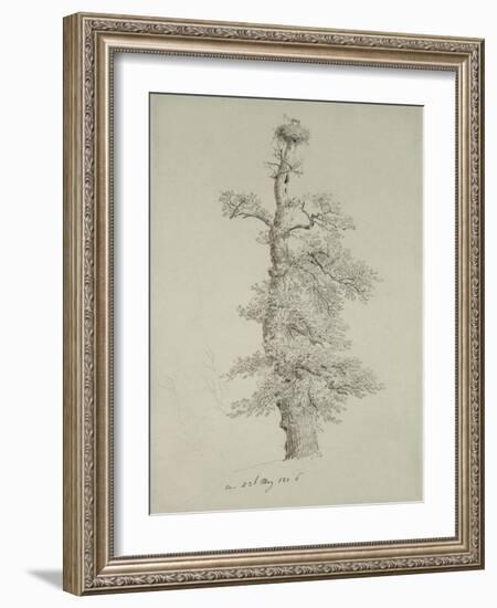 Ancient Oak Tree with a Stork's Nest, 23rd May 1806-Caspar David Friedrich-Framed Giclee Print