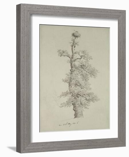 Ancient Oak Tree with a Stork's Nest, 23rd May 1806-Caspar David Friedrich-Framed Giclee Print