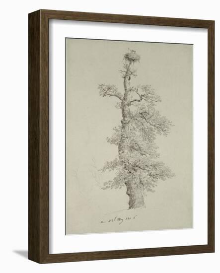 Ancient Oak Tree with a Stork's Nest, 23rd May 1806-Caspar David Friedrich-Framed Giclee Print