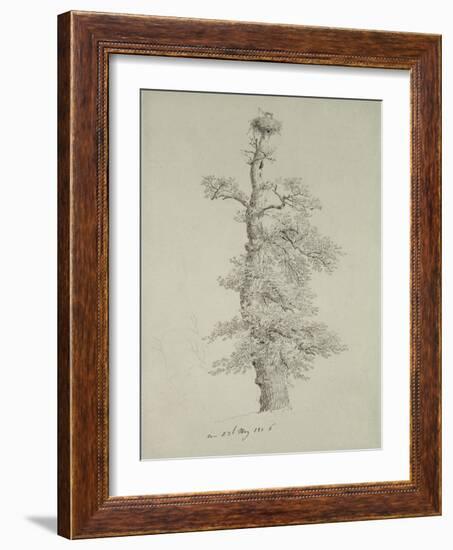 Ancient Oak Tree with a Stork's Nest, 23rd May 1806-Caspar David Friedrich-Framed Giclee Print