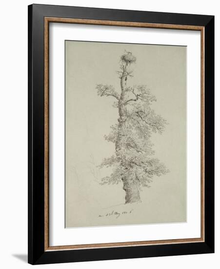 Ancient Oak Tree with a Stork's Nest, 23rd May 1806-Caspar David Friedrich-Framed Giclee Print