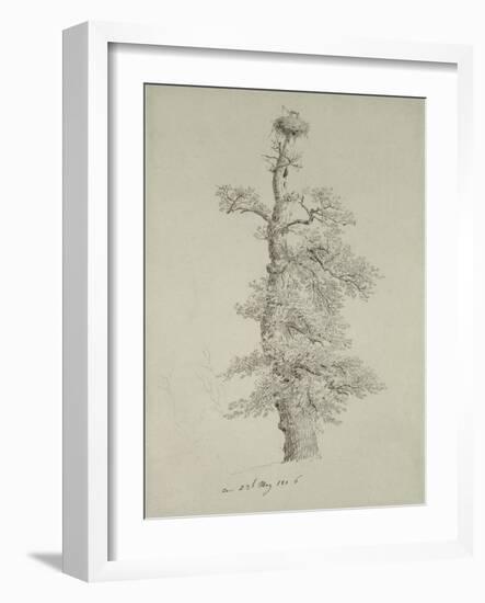 Ancient Oak Tree with a Stork's Nest, 23rd May 1806-Caspar David Friedrich-Framed Giclee Print