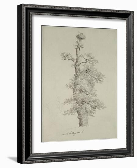 Ancient Oak Tree with a Stork's Nest, 23rd May 1806-Caspar David Friedrich-Framed Giclee Print