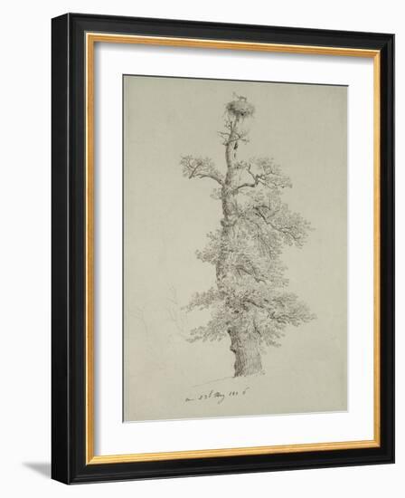 Ancient Oak Tree with a Stork's Nest, 23rd May 1806-Caspar David Friedrich-Framed Giclee Print