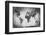 Ancient, Old World Map. Pencil Sketch, Grunge, Vintage Background Texture. Black and White-Michal Bednarek-Framed Photographic Print