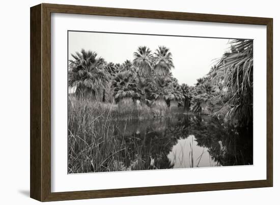 Ancient Palms I-Rita Crane-Framed Photographic Print