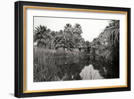 Ancient Palms I-Rita Crane-Framed Photographic Print