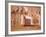 Ancient Papyrus, Cairo Museum of Egyptian Antiquities, Cairo, Egypt-Stuart Westmoreland-Framed Photographic Print