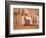 Ancient Papyrus, Cairo Museum of Egyptian Antiquities, Cairo, Egypt-Stuart Westmoreland-Framed Photographic Print