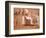 Ancient Papyrus, Cairo Museum of Egyptian Antiquities, Cairo, Egypt-Stuart Westmoreland-Framed Photographic Print