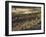 Ancient Pueblo Indian Cliff Dwellings in Mesa Verde National Park-Eliot Elisofon-Framed Photographic Print