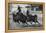 Ancient Roman Charioteer Driving Four Horses-null-Framed Stretched Canvas