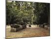 Premium Photographic Print