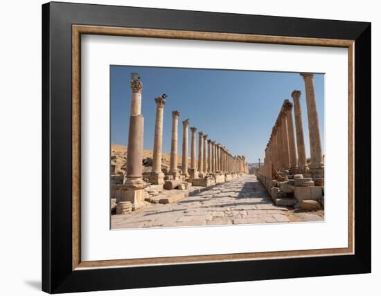 Ancient Roman road with colonnade, Jerash, Jordan, Middle East-Francesco Fanti-Framed Photographic Print