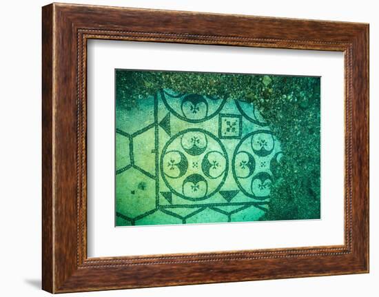 Ancient Roman tessellatum mosaic, in Villa a Protiro, Italy-Franco Banfi-Framed Photographic Print