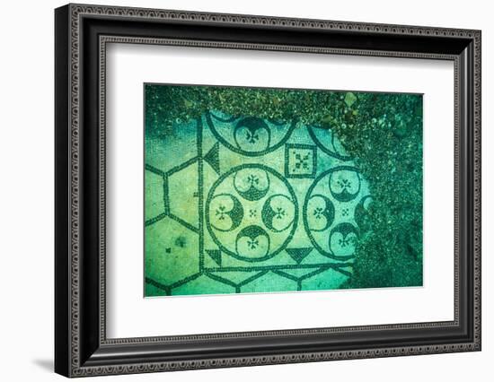 Ancient Roman tessellatum mosaic, in Villa a Protiro, Italy-Franco Banfi-Framed Photographic Print