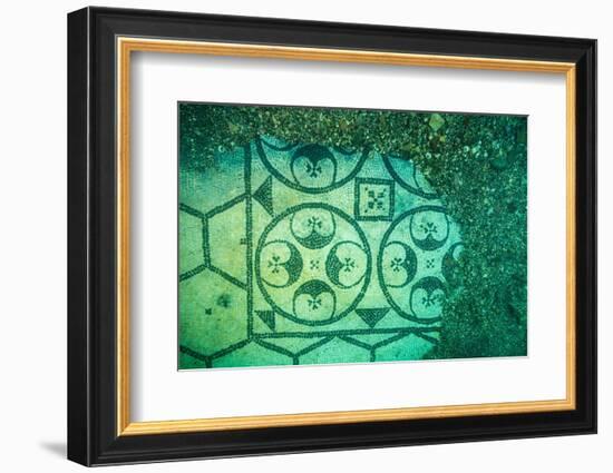 Ancient Roman tessellatum mosaic, in Villa a Protiro, Italy-Franco Banfi-Framed Photographic Print