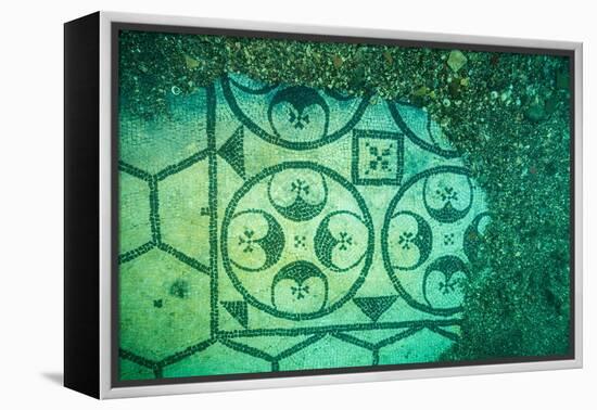 Ancient Roman tessellatum mosaic, in Villa a Protiro, Italy-Franco Banfi-Framed Premier Image Canvas