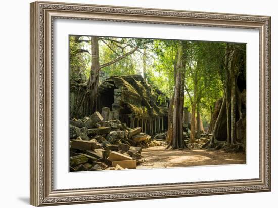 Ancient ruins of Ta Prohm, Angkor Nat'l Park, UNESCO World Heritage, Siem Reap, Cambodia-Logan Brown-Framed Photographic Print