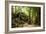 Ancient ruins of Ta Prohm, Angkor Nat'l Park, UNESCO World Heritage, Siem Reap, Cambodia-Logan Brown-Framed Photographic Print