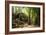 Ancient ruins of Ta Prohm, Angkor Nat'l Park, UNESCO World Heritage, Siem Reap, Cambodia-Logan Brown-Framed Photographic Print