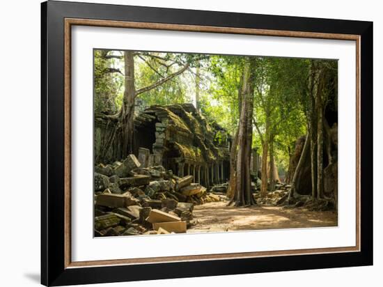 Ancient ruins of Ta Prohm, Angkor Nat'l Park, UNESCO World Heritage, Siem Reap, Cambodia-Logan Brown-Framed Photographic Print