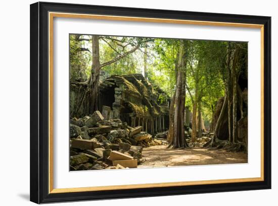 Ancient ruins of Ta Prohm, Angkor Nat'l Park, UNESCO World Heritage, Siem Reap, Cambodia-Logan Brown-Framed Photographic Print
