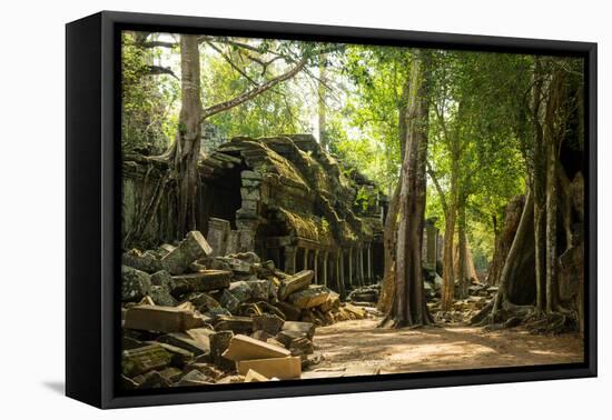 Ancient ruins of Ta Prohm, Angkor Nat'l Park, UNESCO World Heritage, Siem Reap, Cambodia-Logan Brown-Framed Premier Image Canvas