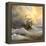 Ancient Sailing Vessel In Stormy Sea-balaikin2009-Framed Stretched Canvas