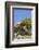 Ancient Sierra juniper, Lake Tahoe region, California-Howie Garber-Framed Photographic Print