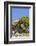 Ancient Sierra juniper, Lake Tahoe region, California-Howie Garber-Framed Photographic Print