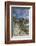 Ancient Sierra juniper, Lake Tahoe region, California-Howie Garber-Framed Photographic Print