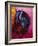 Ancient Soul-Marion Rose-Framed Giclee Print