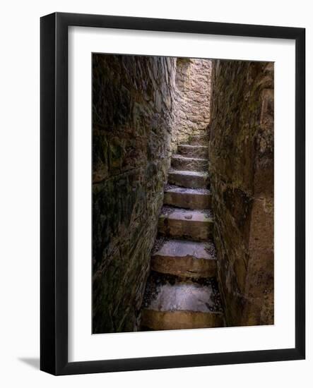 Ancient steps lead to a roofless second floor room.-Betty Sederquist-Framed Photographic Print