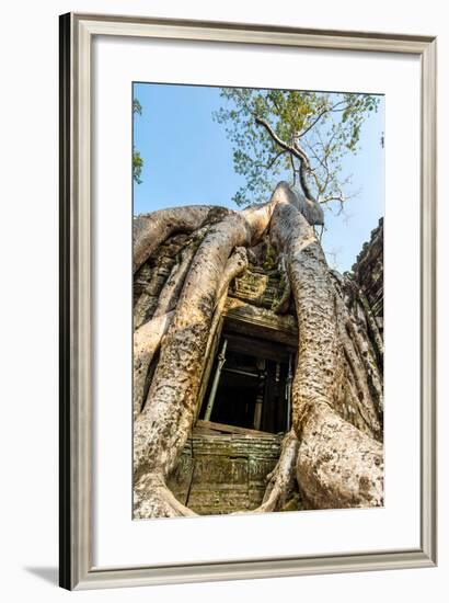 Ancient Stone Door and Tree Roots, Ta Prohm Temple-David Ionut-Framed Photographic Print