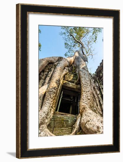 Ancient Stone Door and Tree Roots, Ta Prohm Temple-David Ionut-Framed Photographic Print