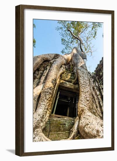 Ancient Stone Door and Tree Roots, Ta Prohm Temple-David Ionut-Framed Photographic Print