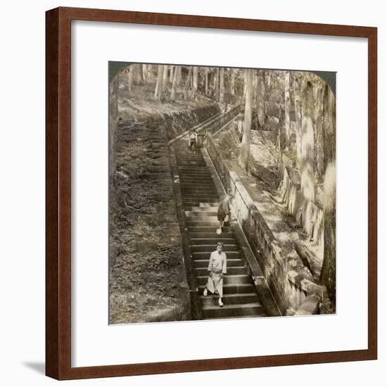 Ancient Stone Stairway Up the Hill to the Tomb of Shogun Ieyasu, Nikko, Japan, 1904-Underwood & Underwood-Framed Photographic Print