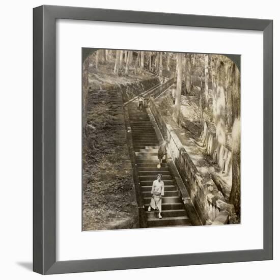 Ancient Stone Stairway Up the Hill to the Tomb of Shogun Ieyasu, Nikko, Japan, 1904-Underwood & Underwood-Framed Photographic Print