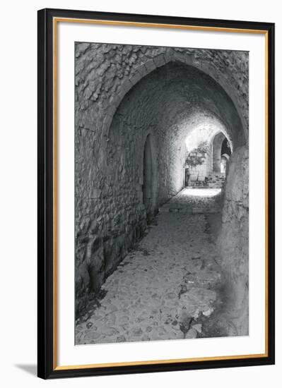 Ancient Stones V-The Chelsea Collection-Framed Giclee Print