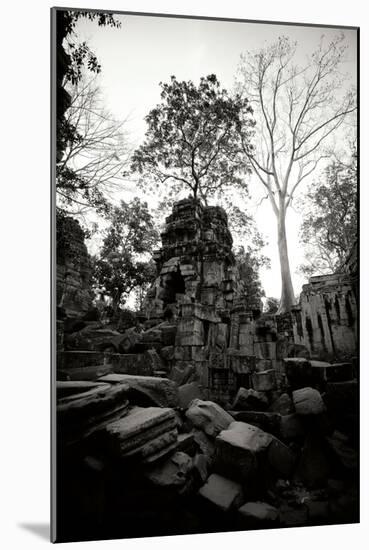 Ancient Ta Prohm I-Erin Berzel-Mounted Photographic Print