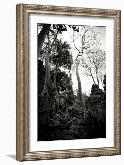Ancient Ta Prohm I-Erin Berzel-Framed Photographic Print