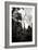 Ancient Ta Prohm I-Erin Berzel-Framed Photographic Print