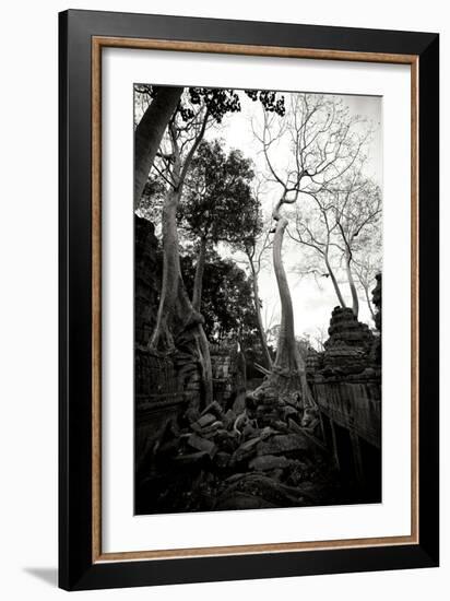 Ancient Ta Prohm I-Erin Berzel-Framed Photographic Print