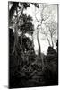 Ancient Ta Prohm I-Erin Berzel-Mounted Photographic Print