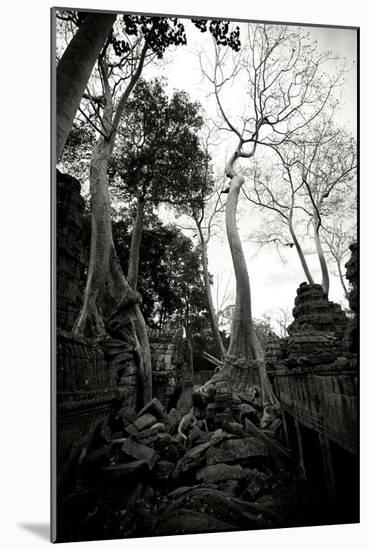 Ancient Ta Prohm I-Erin Berzel-Mounted Photographic Print