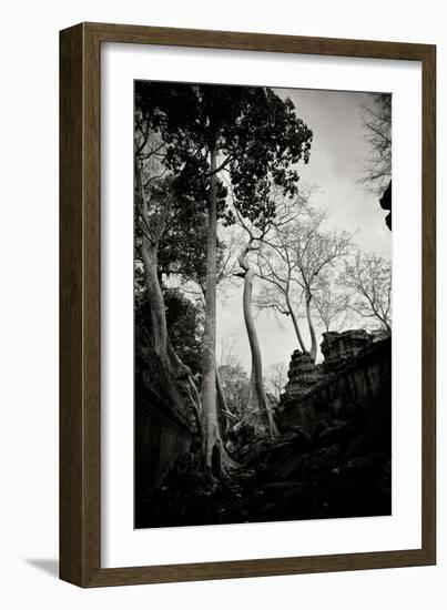 Ancient Ta Prohm II-Erin Berzel-Framed Photographic Print