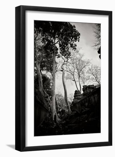 Ancient Ta Prohm II-Erin Berzel-Framed Photographic Print